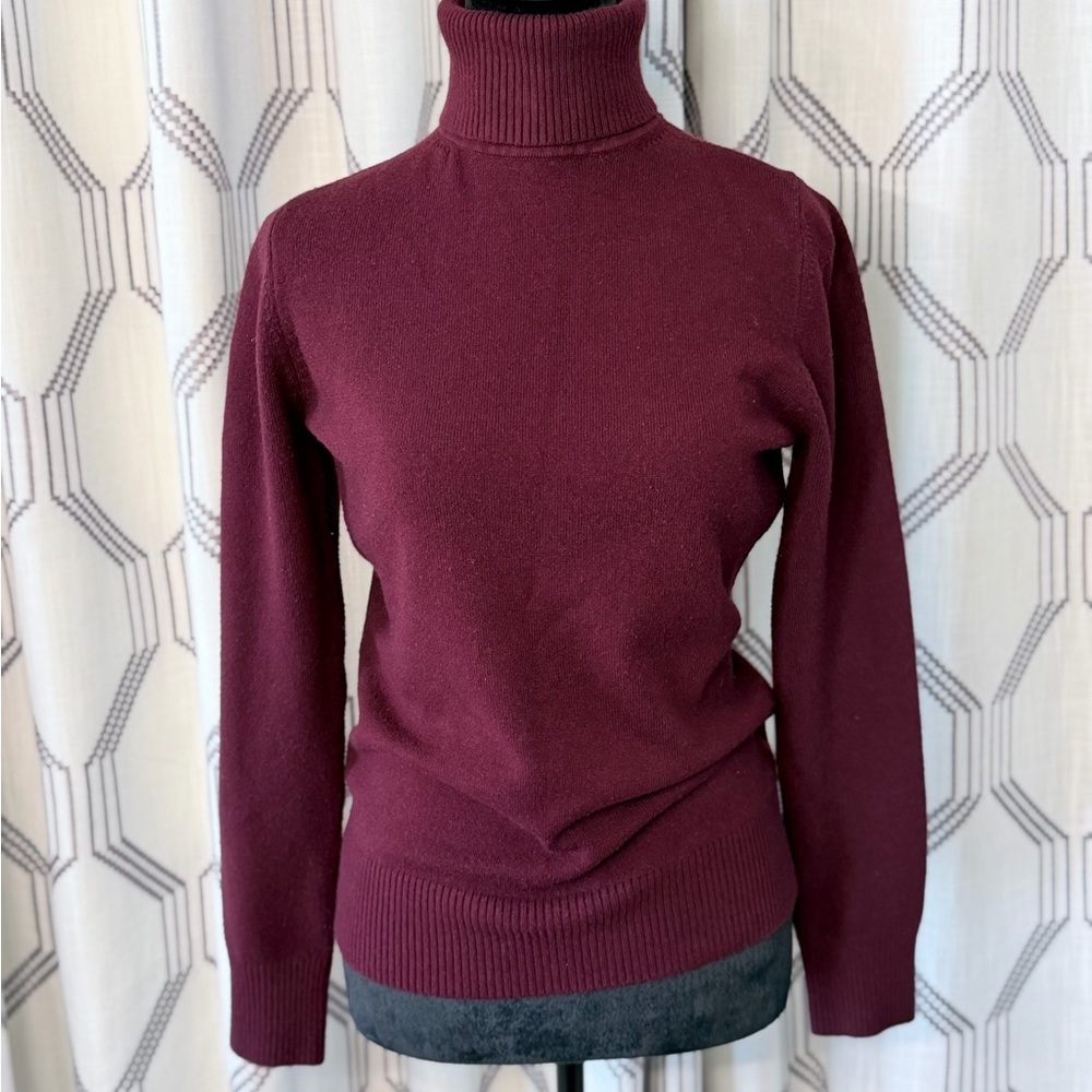 French Connection Wine Turtleneck Sweater
